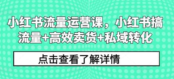 小红书流量运营课，小红书搞流量+高效卖货+私域转化|无忧资源社