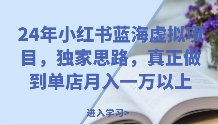 24年小红书蓝海虚拟项目，独家思路，真正做到单店月入一万以上。|无忧资源社